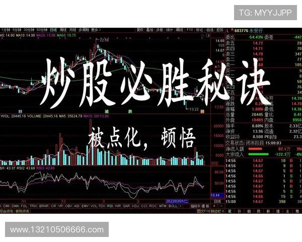 天生赢家一触即发凯发：揭秘成功人士的必胜秘诀与实战技巧