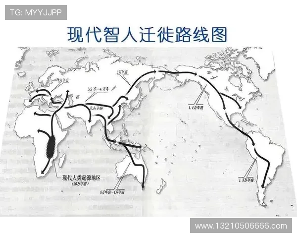金鲨银鲨：海底金银宝藏的历史背景与现代考古探索的最新进展