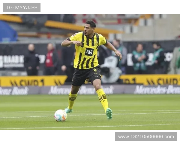 凯发app平台丰富的赛事直播与竞猜活动，带来激动人心的体育娱乐体验