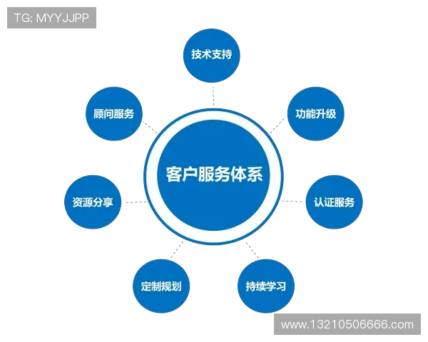 K8和记娱乐客户服务与技术支持体系全面介绍与优化建议