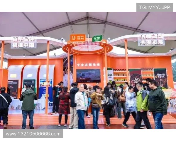 凯发k8天生赢家一触即发用户实战经验分享，提升你的游戏胜率和盈利能力