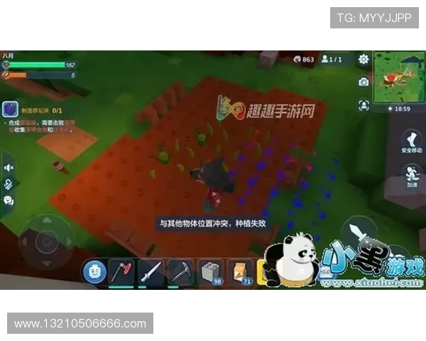 三公大小常见误区及避免技巧让新手快速上手游戏体验