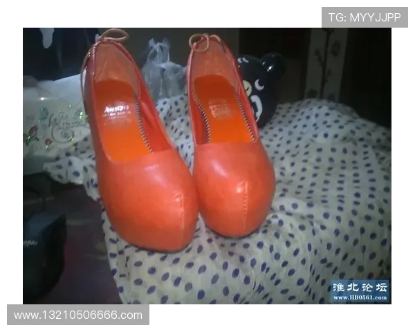 凯发的网址最新更新公告，及时掌握官网入口的变化信息