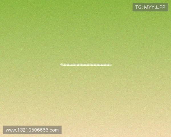 K8视讯助力体育网站实现世界杯赛事实时数据分析，提供专业的比赛解读和预测